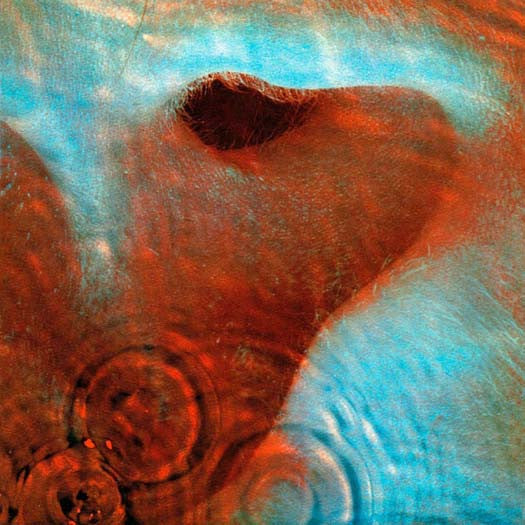 Pink Floyd Meddle Vinyl LP 2016